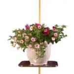 1112 Gold Wall Channel 1117 Standard Wall Channel Shelf